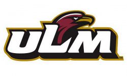 ULM